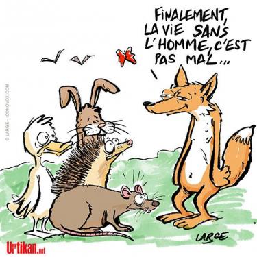 dessin