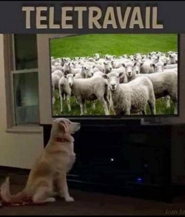 Teletravail